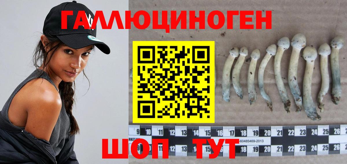 Галлюциногенные грибы GOLDEN TEACHER  Вход с VPN  Галлюциногенные грибы ЛСД  Горно-Алтайск 